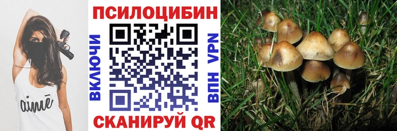 Купить где  Октябрьск  Псилоцибиновые грибы прущие грибы 